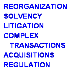 Text Box: REORGANIZATION
SOLVENCY
LITIGATION
COMPLEX 
   TRANSACTIONS
ACQUISITIONS
REGULATION
